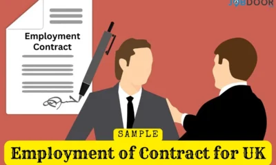 Standard Employment Contract Template