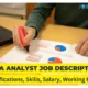 Data analyst job description