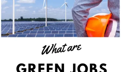 How to Find Green Job?