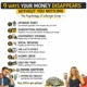 Money Disappears