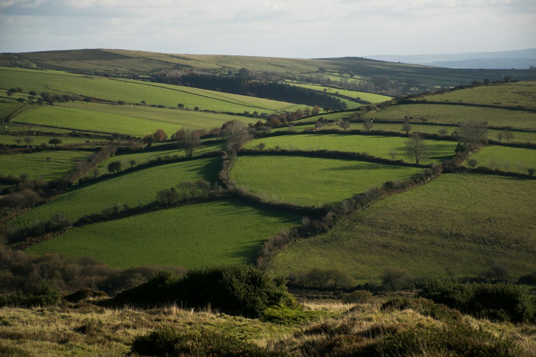 Green countryside landscape representing environmental and conservation careers in the UK